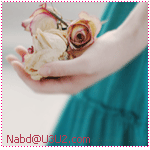 ������ ������� :: �����g� ::