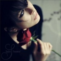 ������ ������� ����� ������