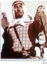 ������ ������� ������