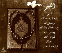 ������ ������� ��� ���� ��������