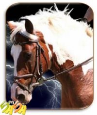 ������ ������� ��� ���