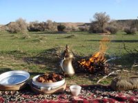 ������ ������� �������