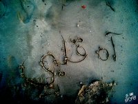 ������ ������� ��� �������