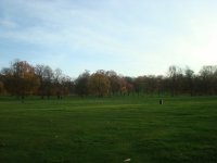 ������ ������� ���� ���