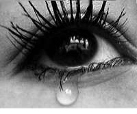 ������ ������� ���� ����