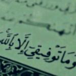 ������ ������� �� ����