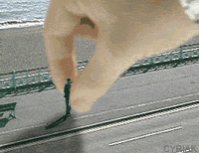 ������ ������� albawadi