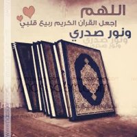 ������ ������� ��� ������