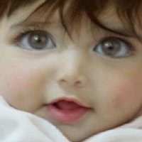 ������ ������� ������