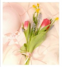 ������ ������� �� ������